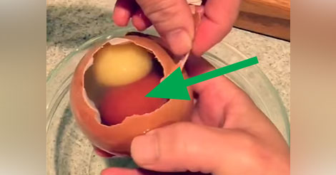 Quand cet agriculteur a cassé son œuf, il ne devait pas s’attendre à découvrir CECI dedans !