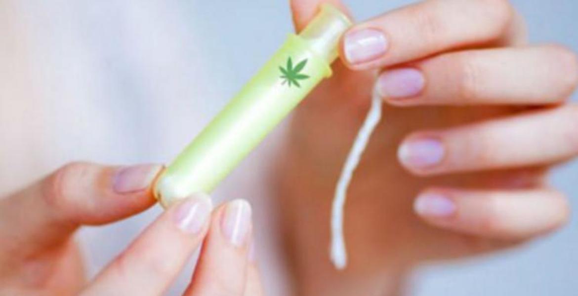 Ils fabriquent des tampons avec de la marijuana pour soulager les douleurs menstruelles.